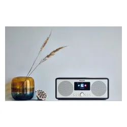 Radioodbiornik Panasonic RF-D40EG-K Radio FM, DAB+ Internetowe Wi-Fi Bluetooth Czarny