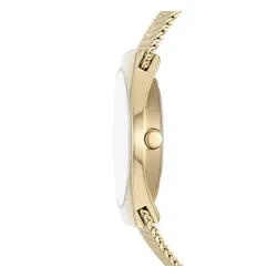 Skagen SKW1156SET Gold Saatler