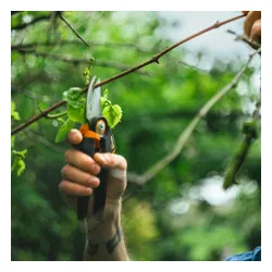 Sekator nożycowy L Fiskars X-series P961