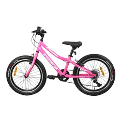 Rower dziecięcy INDIANA Figo 20 cali dla dziewczynki Różowy