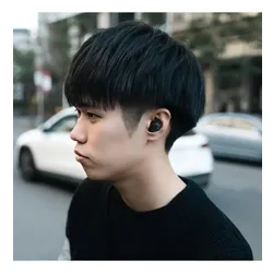 Słuchawki dokanałowe FINAL AUDIO ZE3000 SV ANC Czarny