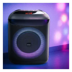 Power Audio Zehnder Party Box PB400 40W Mikrofon Bluetooth Czarny