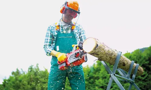 Pilarka łańcuchowa Einhell 4501760
