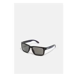 HOLBROOK UNISEX - Okulary przeciwsłoneczne - polished black/prizm grey