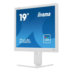 Monitor iiyama ProLite B1980D-W5 19" HD TN 60Hz 5ms