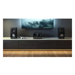 Wieża Blaupunkt MS49DAB 100W Bluetooth Radio FM, DAB+ Czarny