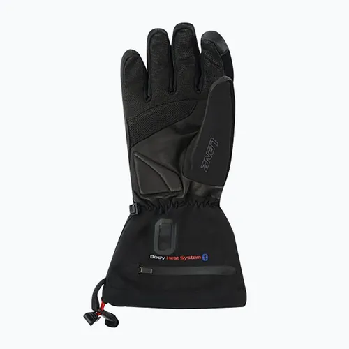 Rękawice narciarskie męskie Lenz Heat Glove 6.0 Finger Cap black