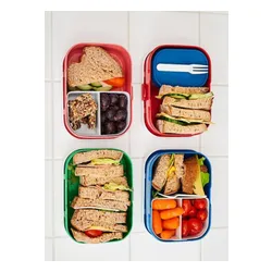 Zestaw dziecięcy bidon i lunchbox Campus Mepal - jungle