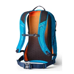 Plecak codzienny Gregory Kiro 20 - legion blue