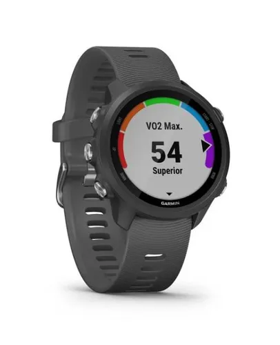 Умные Часы Garmin Forerunner 245 Серый