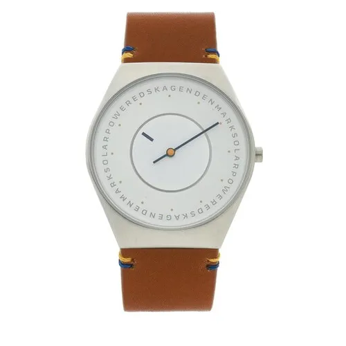 Skagen SKW6872 Gümüş Saat