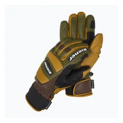 Rękawice narciarskie męskie ZIENER Guard GTX + Gore Grip PR alpine dark/brown
