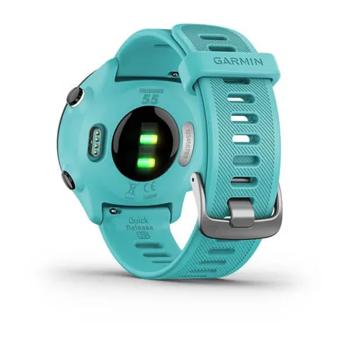 Smartwatch Garmin Forerunner 55 42mm GPS синий