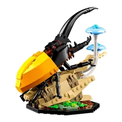 Конструктор LEGO Ideas 21342 коллекция насекомых