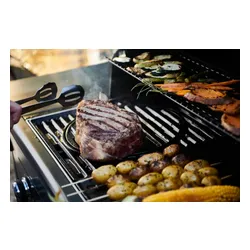 Grill gazowy CAMPINGAZ Select EXS Seria 4 12 + 2.3 kW 46 x 72 cm