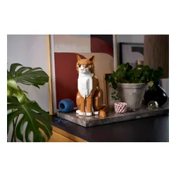 LEGO 21376 Ideas - Rudy kot