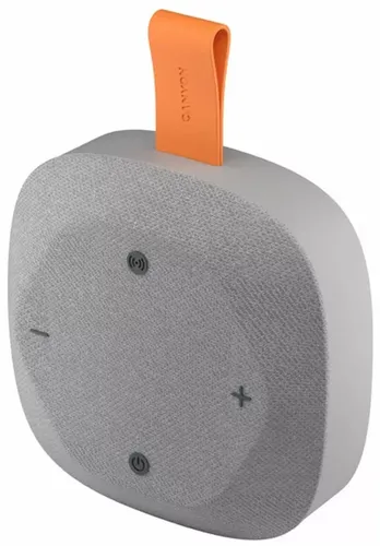 Głośnik mobilny CANYON Hexagon 10 Szaro-pomarańczowy