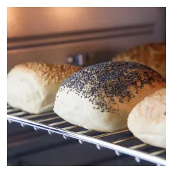 Mini piekarnik Caso Germany TO 26 Rożen 26l