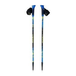 Kije do Nordic Walking Viking Ruten Pro