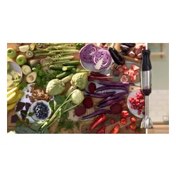 Blender BOSCH ErgoMaster MSM6M652