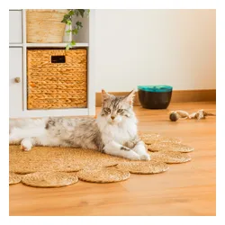 Fontanna dla zwierząt CECOTEC Pumba 2200 Refresh 09561