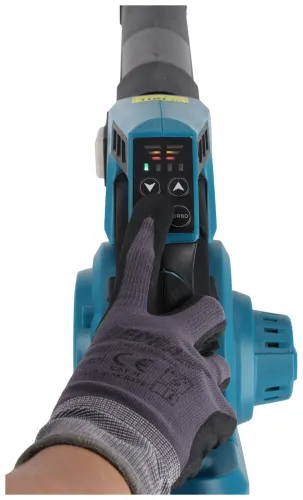 Odkurzacz z funkcją dmuchawy Dedra DED7194V