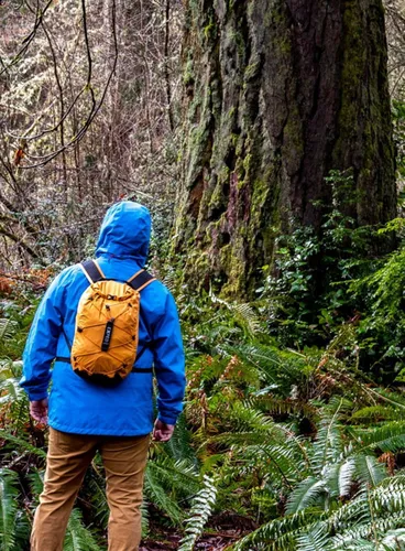 Водонепроницаемый рюкзак Exped Cloudburst 15-forest