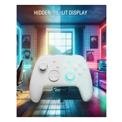 Adapter FUNLAB Firefly Pro Controller - Kakariko do Nintendo Switch / Switch 2 Bezprzewodowy