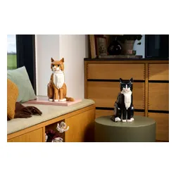 LEGO 21376 Ideas - Rudy kot