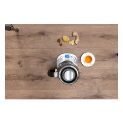 Czajnik Alpina SI-47335 1,7l 2200W Regulacja temperatury