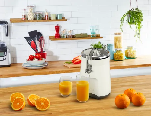 Wyciskarka do cytrusów Tefal ZP610AE0 100W