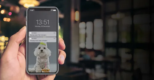 Fontanna dla zwierząt PETONEER Fresco Ultra