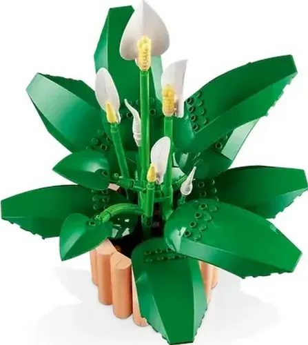 LEGO Botanicals 11504 Skrzydłokwiat