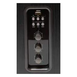 Kolumny Aiwa ASP-A200 Czarny 2szt.