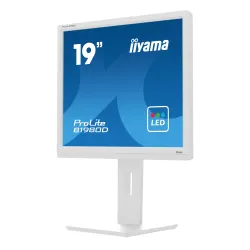 Monitor iiyama ProLite B1980D-W5 19" HD TN 60Hz 5ms