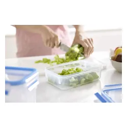 Pojemnik Tefal Masterseal K3021112 0,55l