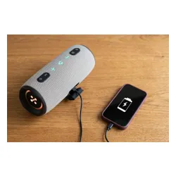Głośnik mobilny XMUSIC BTS860 Bluetooth, Moc 40W, IP66, Akumulator 5000 mAh,  Radio FM, Szary