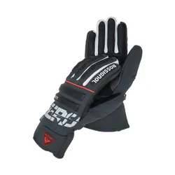 Rękawice narciarskie męskie Rossignol Hero Master Impr G onyx grey