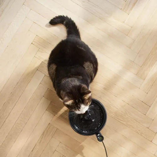 Fontanna dla zwierząt PHILIPS PAW3210/02