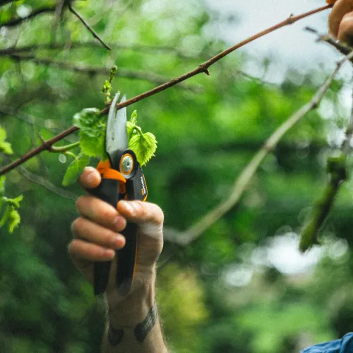 Sekator nożycowy L Fiskars X-series P961