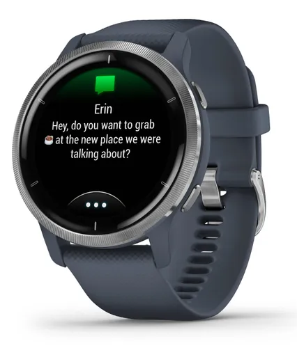 Умные часы Garmin Venu 2 GPS серебристо-темно-синий