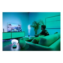 Centralka Philips Hue Play HDMI sync box 8K