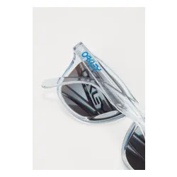 FROGSKINS UNISEX - Okulary przeciwsłoneczne - polished clear