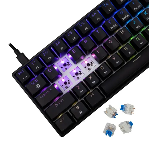 Klawiatura gamingowa White Shark Shinobi Blue przewodowa mechaniczna podświetlana czarna