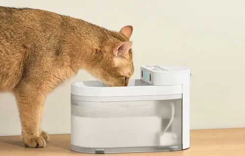 Fontanna dla zwierząt CATLINK Pure 3 CL-WB-01