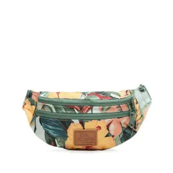 Dakine Clasic Hip Pack Talie Sac 08130205 Insula Primăvară