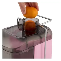 Sokowirówka Russell Hobbs 28771-56