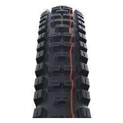 SCHWALBE Big Betty Lastikleri