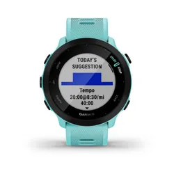 Smartwatch Garmin Forerunner 55 42mm GPS синий