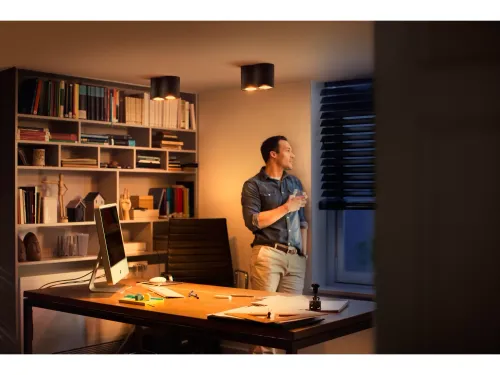 Oświetlenie punktowe Philips Hue White Ambiance Podwójne Pillar Czarny